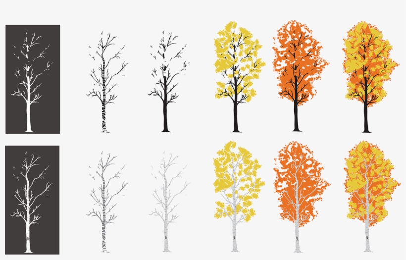 My Process Of Creating An Aspen Tree I Drew - Autumn, transparent png