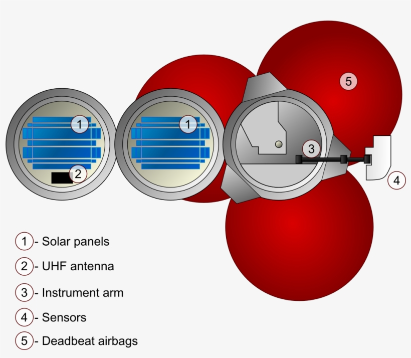 Beagle - Sphere, transparent png
