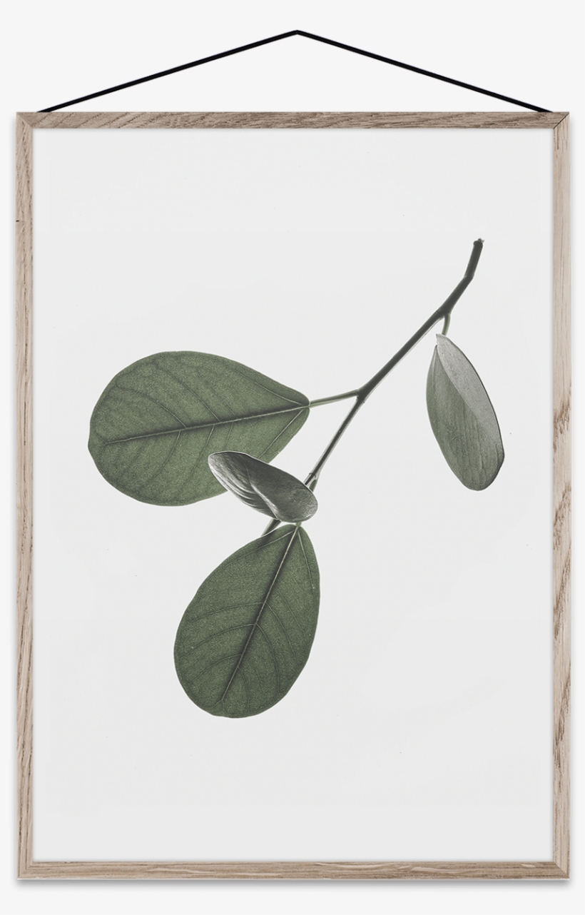 Floating Leaves 05 By Norm Architects For Paper Collective - Picture Frame, transparent png