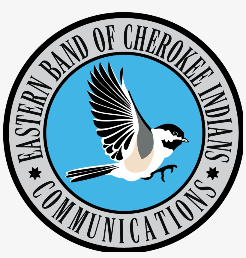 Indian Feather Png, transparent png