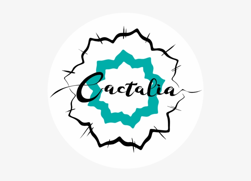 Venta Online De Cactus, Suculentas, Decoración Del - Circle, transparent png