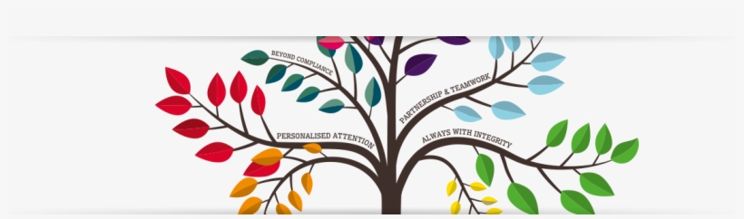 About Aspen, transparent png