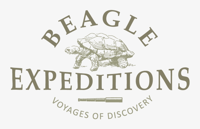 Beagle Expeditions Beagle Expeditions Beagle Expeditions - Walker Filtration, transparent png