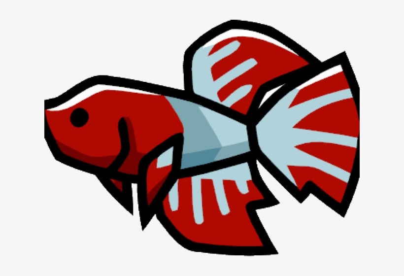 Betta Png, transparent png