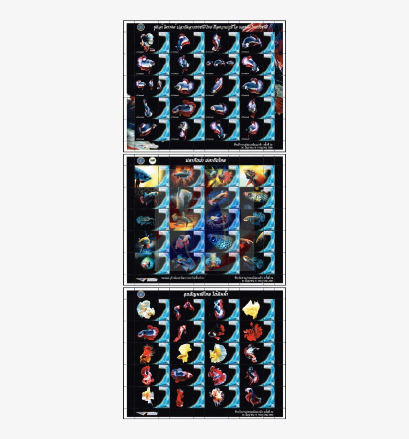 Siamese Fighting Fish Ps(200 - Fictional Character, transparent png