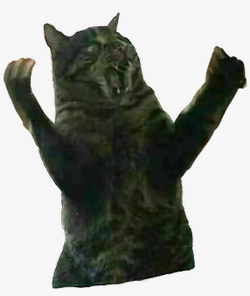 Remixit Cat Fatcat Surprise Rage Angry Animal Anim - Dragon Li, transparent png