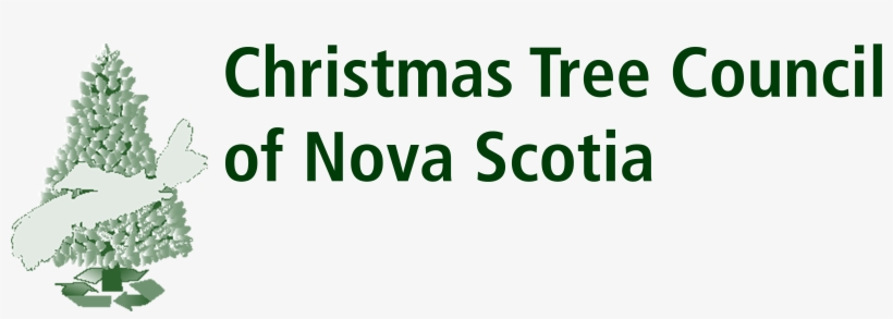 Christmas Tree Nova Scotia Canada, transparent png