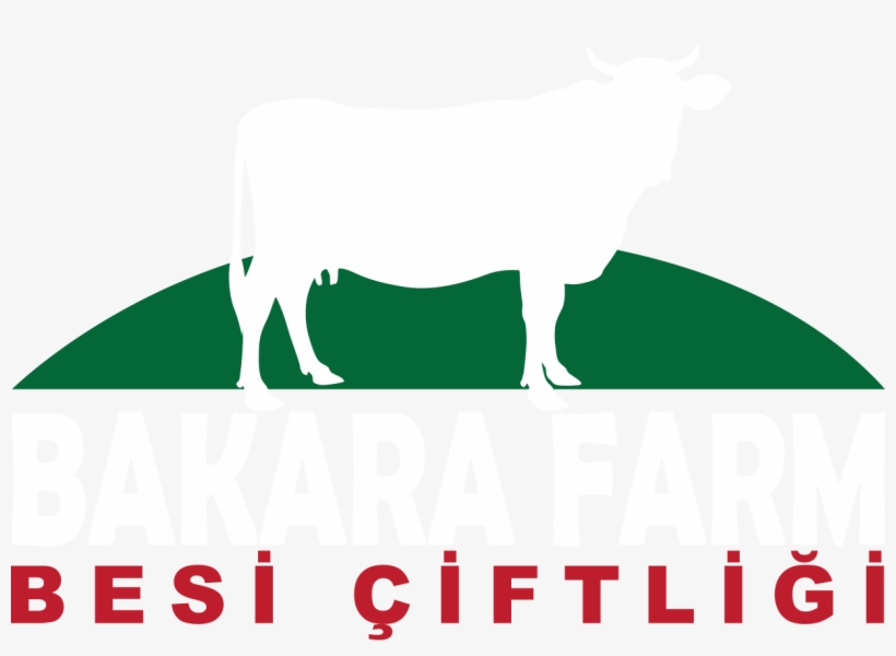 Logo 19 Jun 2018 - Illustration, transparent png