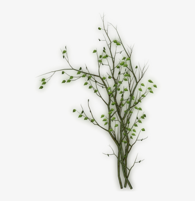 Vine Sticker - Pond Pine, transparent png