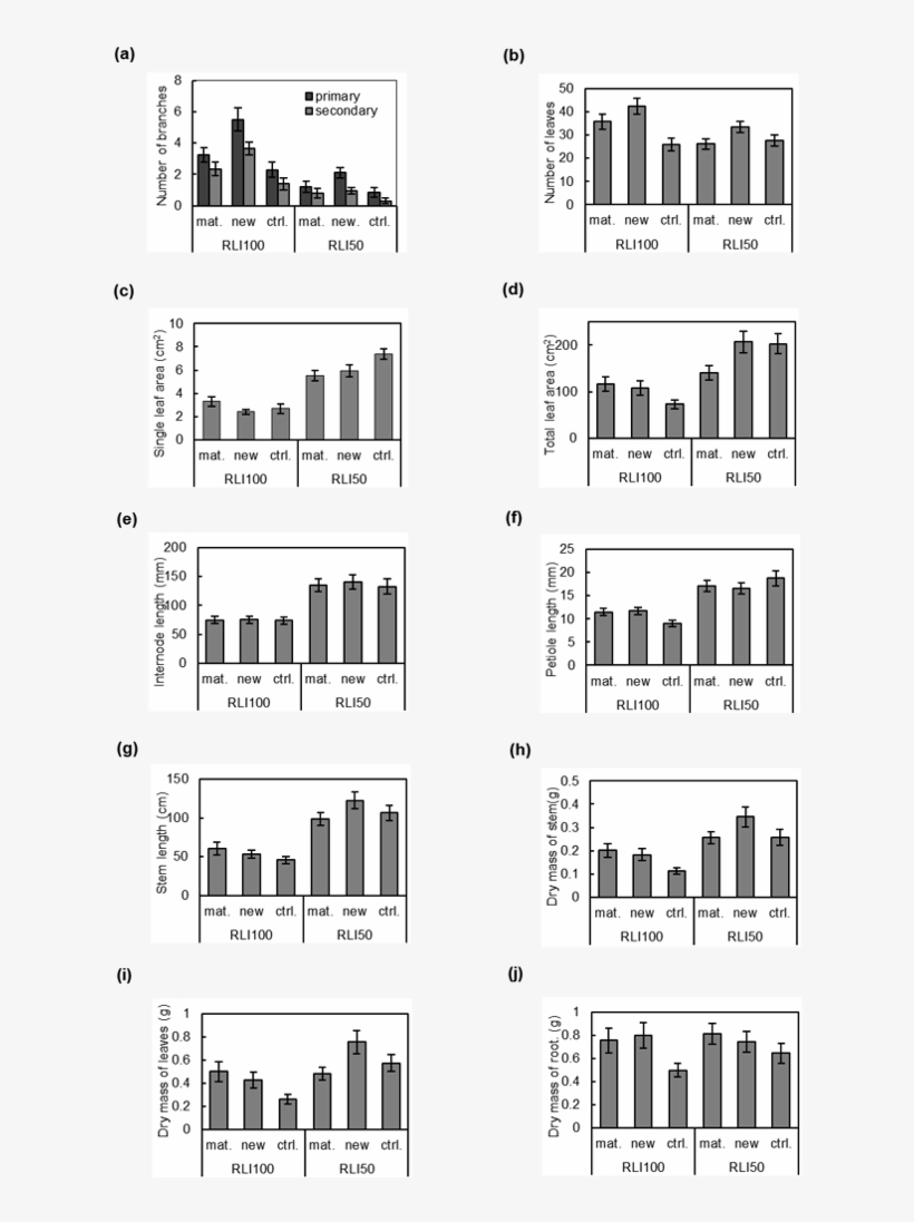 Oprimary Dsecondary 40 으30 10 Mat - Illustration, transparent png