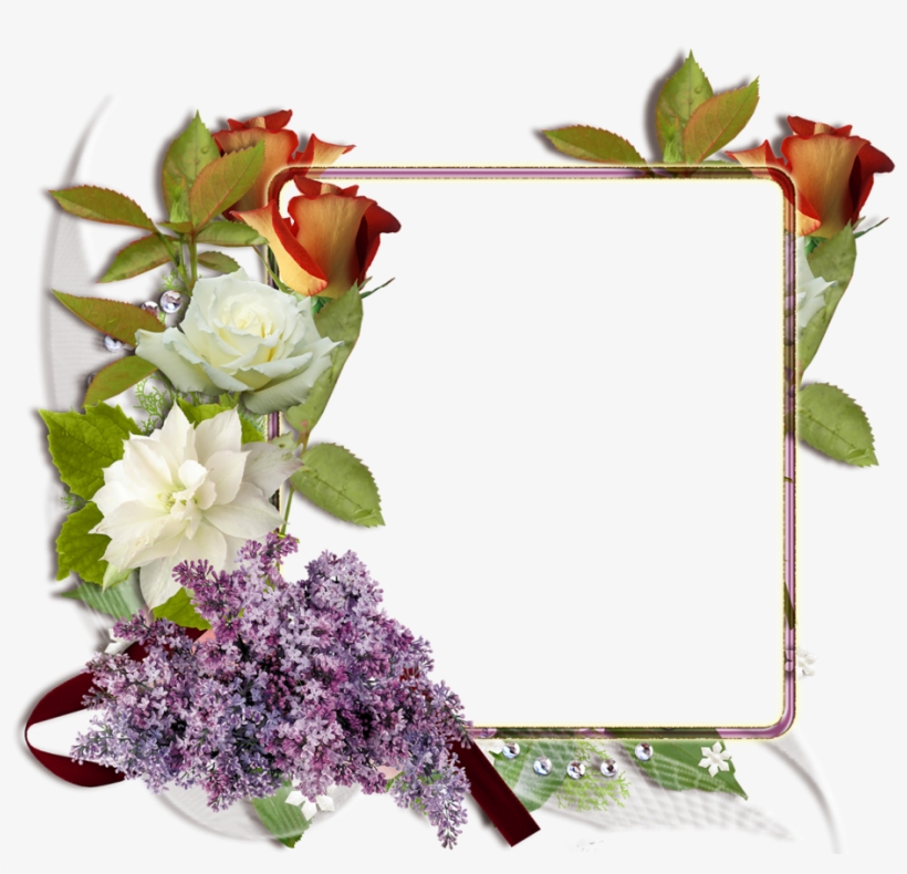 Fotomontaje Con Rosas Blancas Y Rojas - Descargar Marcos, transparent png