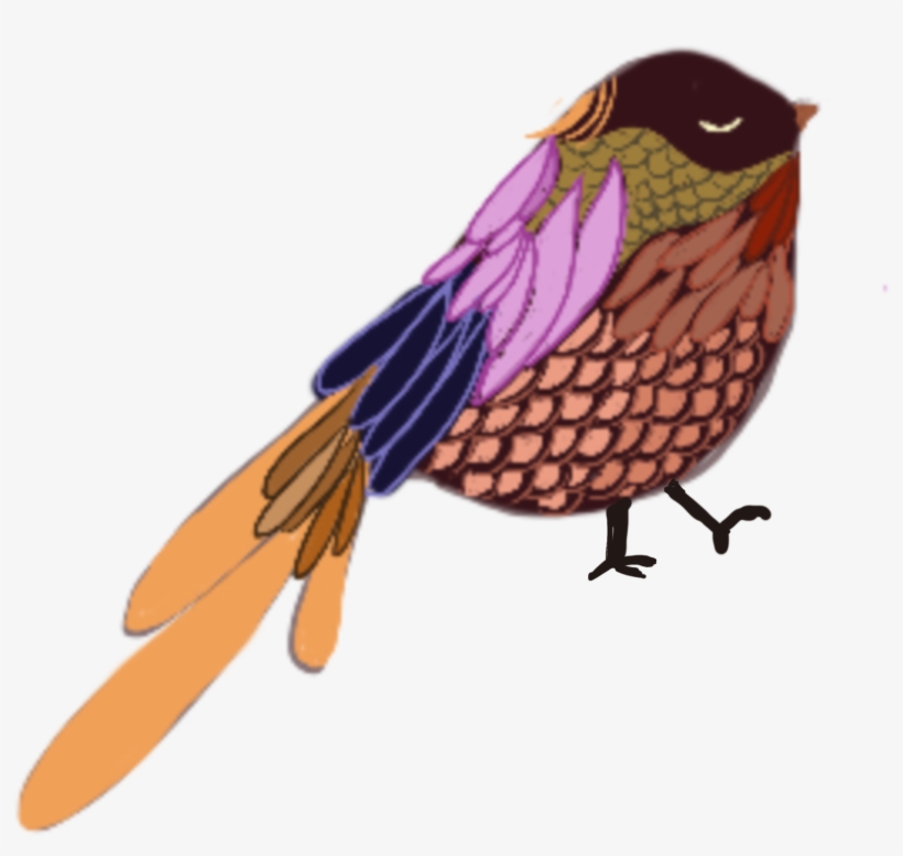 Colored Feathers Demi, transparent png