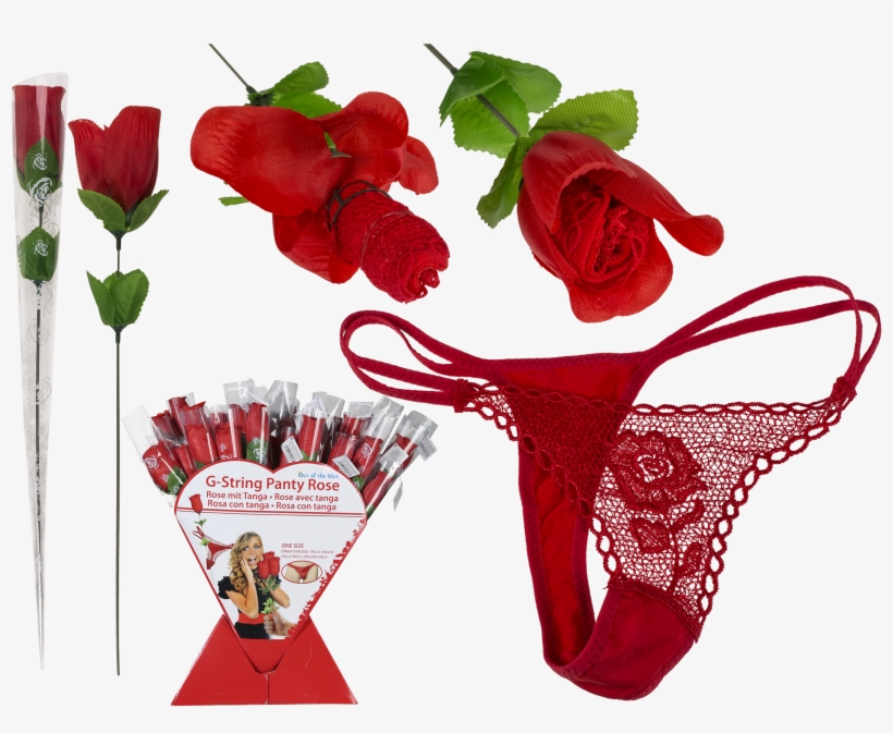 Rose With Red G-string - Hybrid Tea Rose, transparent png