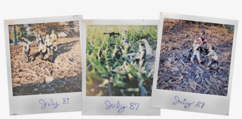 Polaroids - Grass, transparent png