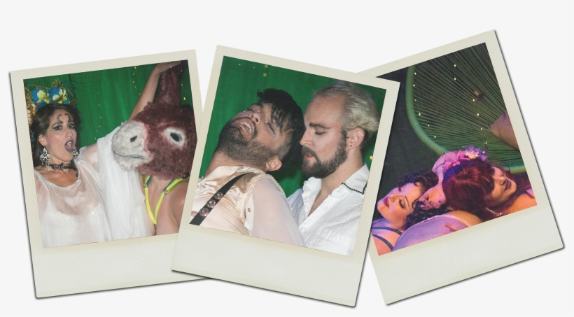 Midsummer Print Photo Polaroids, transparent png
