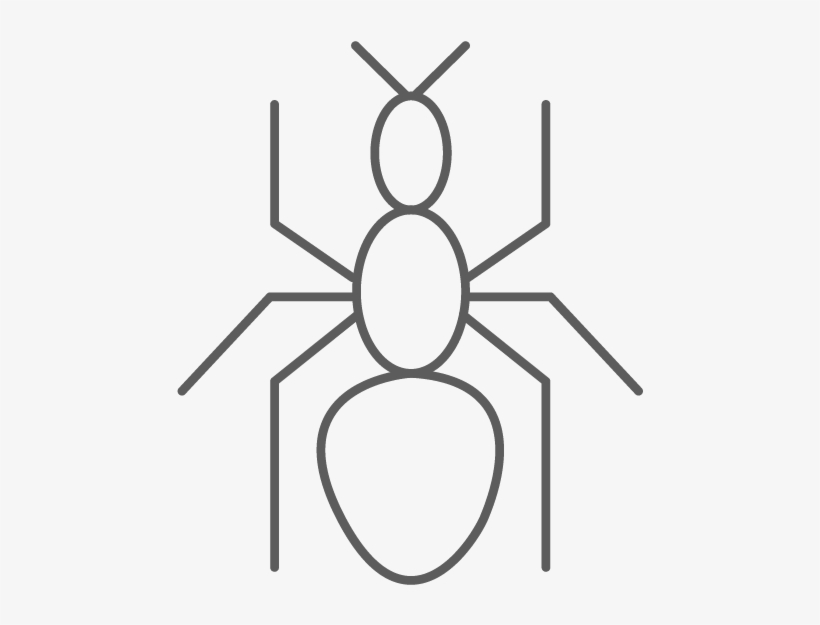 Hormigas Invasoras - - Circle, transparent png