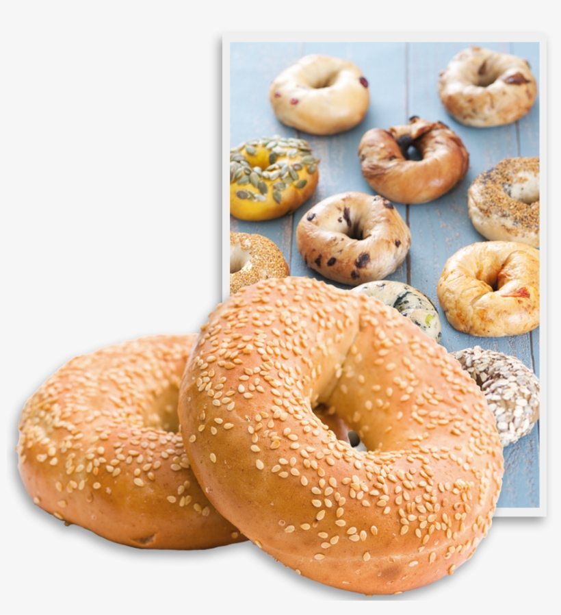In - Bagel, transparent png