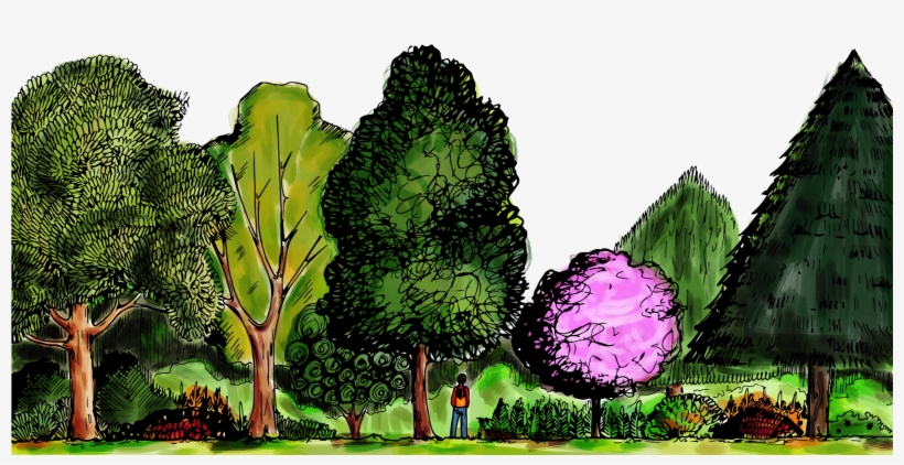 Foresta2 - Botanical Garden, transparent png