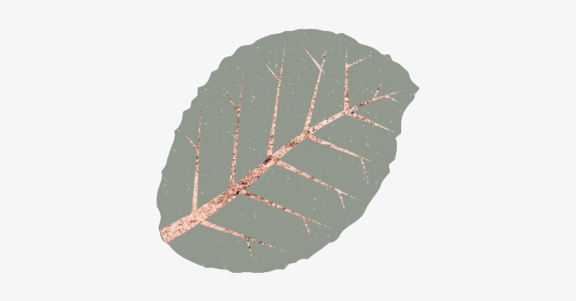 #plant #plants #leaf #leaves #floral #decor #decoration - Circle, transparent png