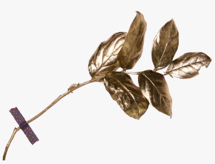 Report Abuse - Gold, transparent png