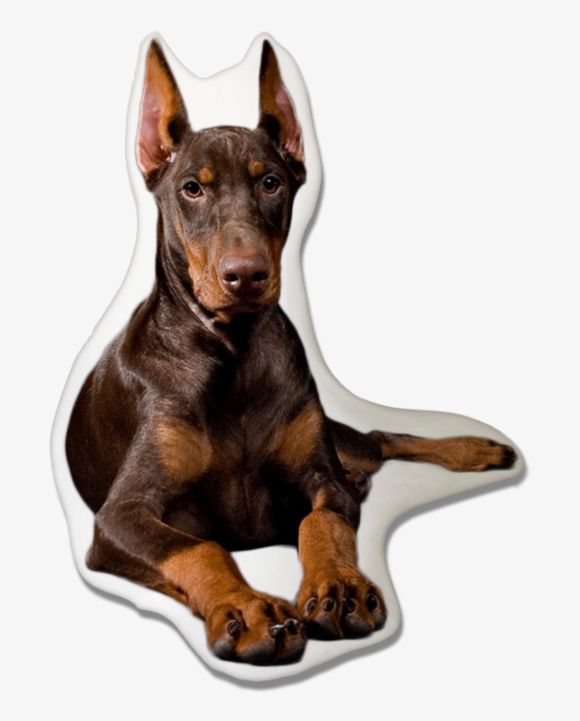 Doberman Pinscher Dog Pillow - Black And Ginger Dog, transparent png