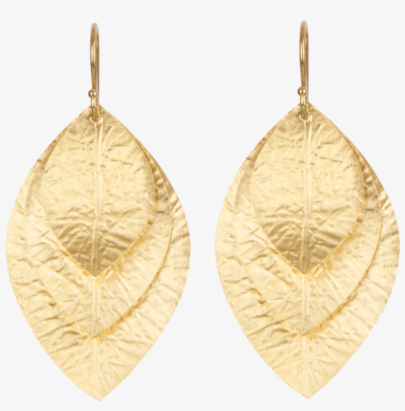 Earrings, transparent png