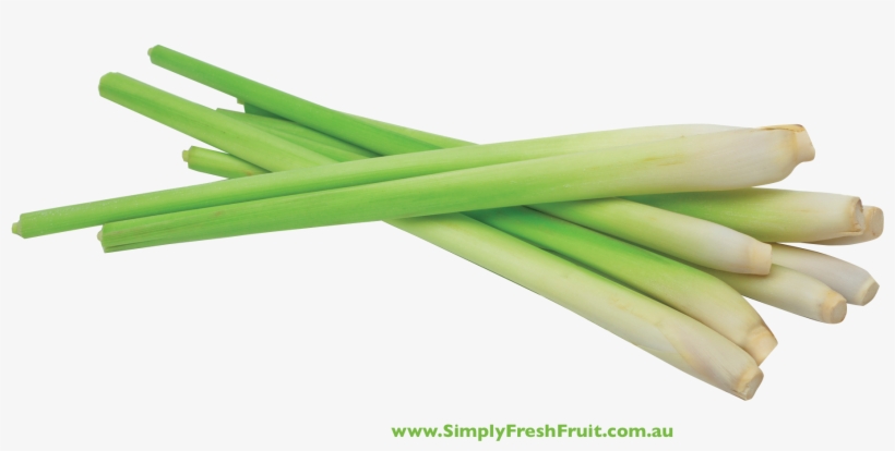 View Larger Image, transparent png