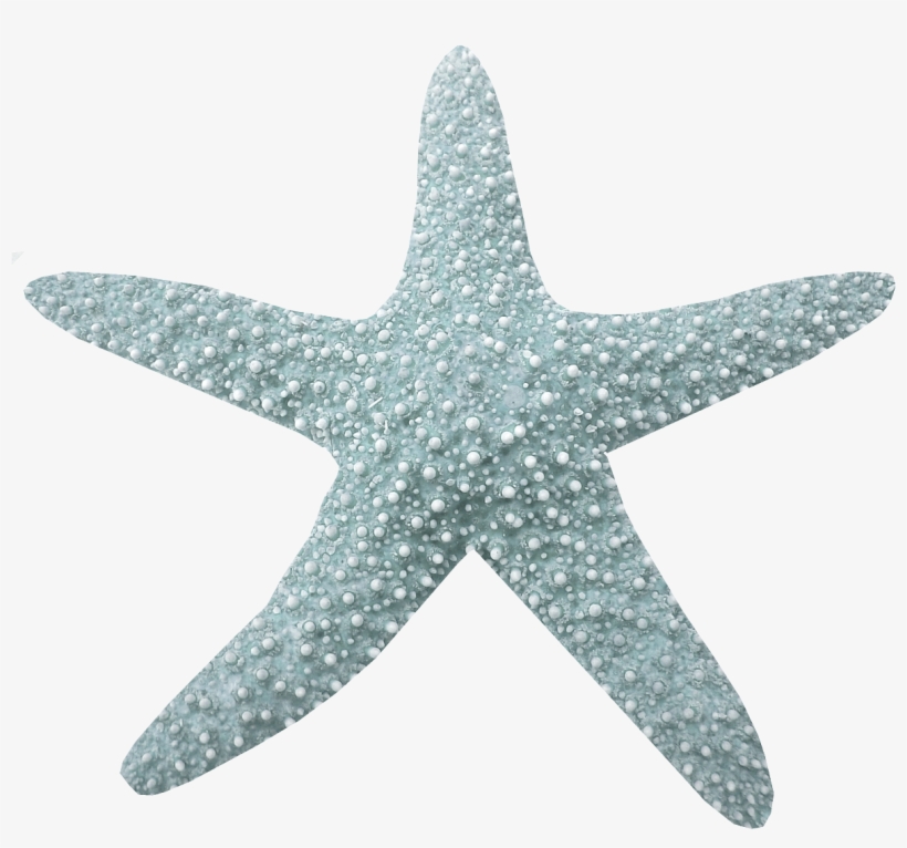 Фото, Автор Arana На Яндекс - Estrella Del Mar Png, transparent png