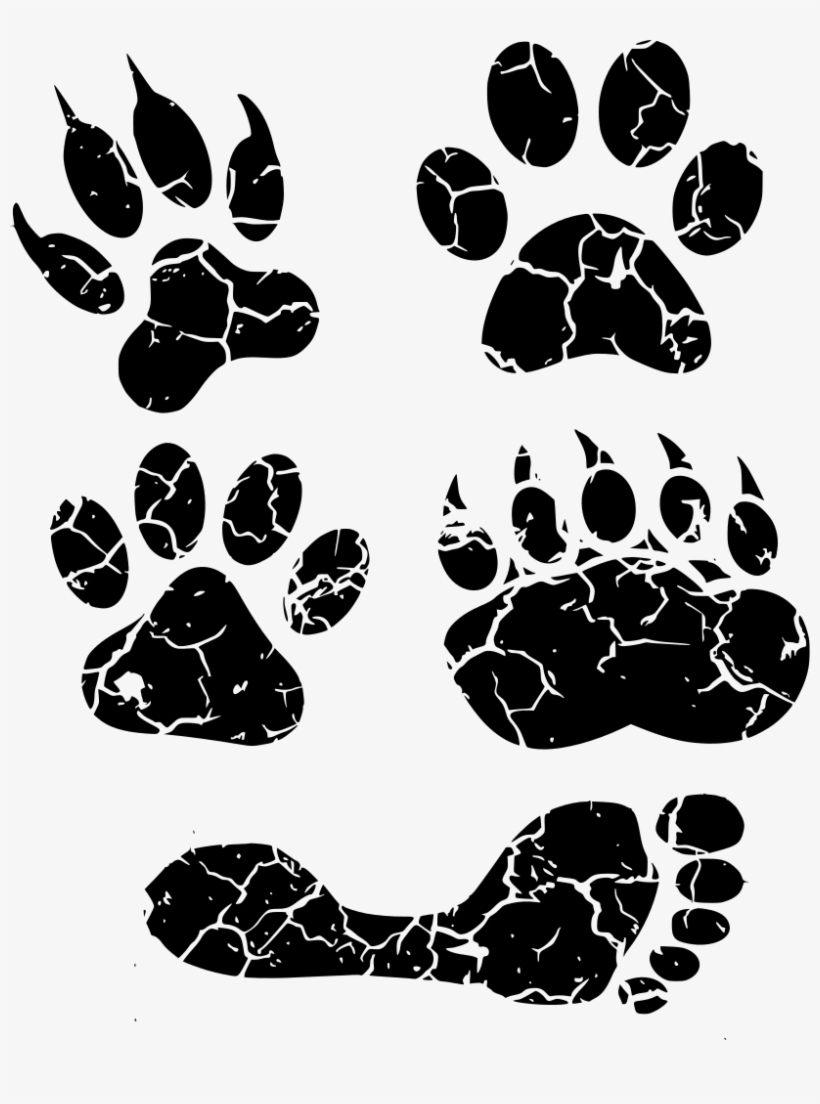 Download Png - Paw Print And Footprint, transparent png