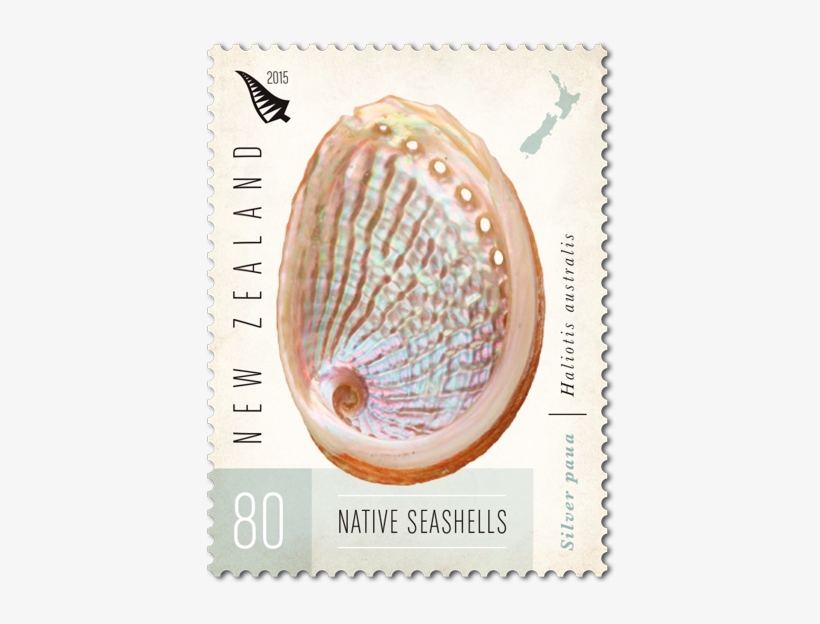 Product Listing For New Zealand Native Seashells - Post Card Stamp Canada, transparent png