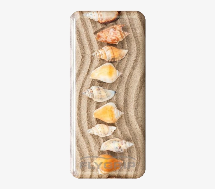 Flygrip Beach Shells Bethany - Wonton, transparent png