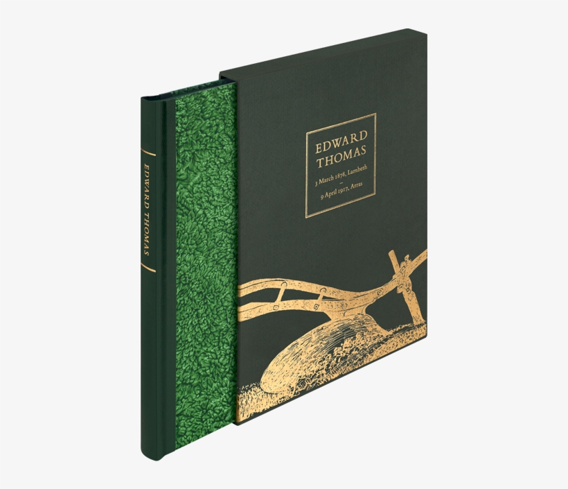 Marine Invertebrates, transparent png