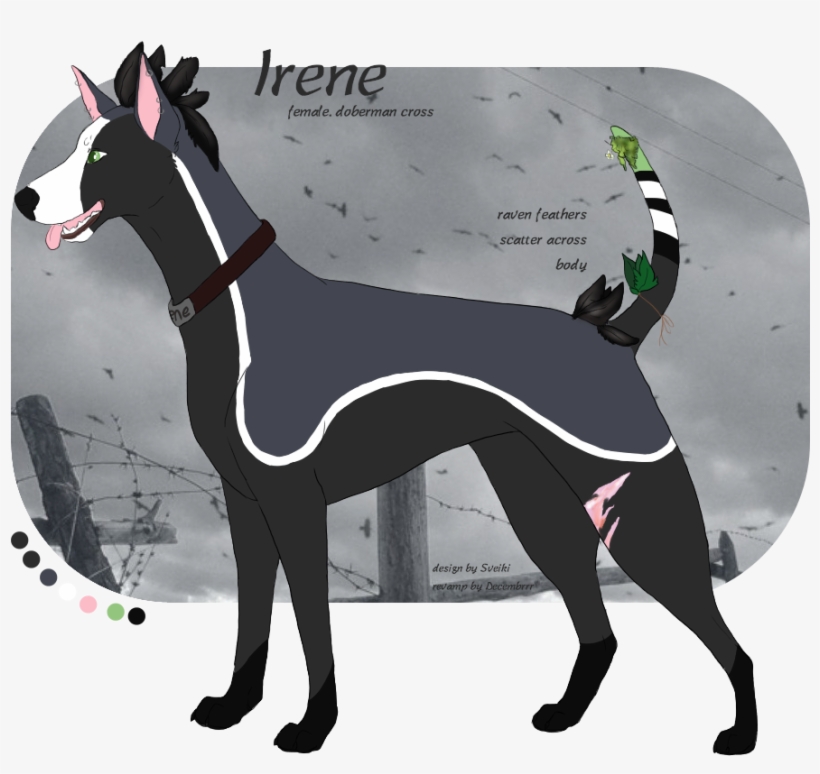 Unknown, Perhaps A Raven X Doberman Cross Of Sorts - Great Dane, transparent png