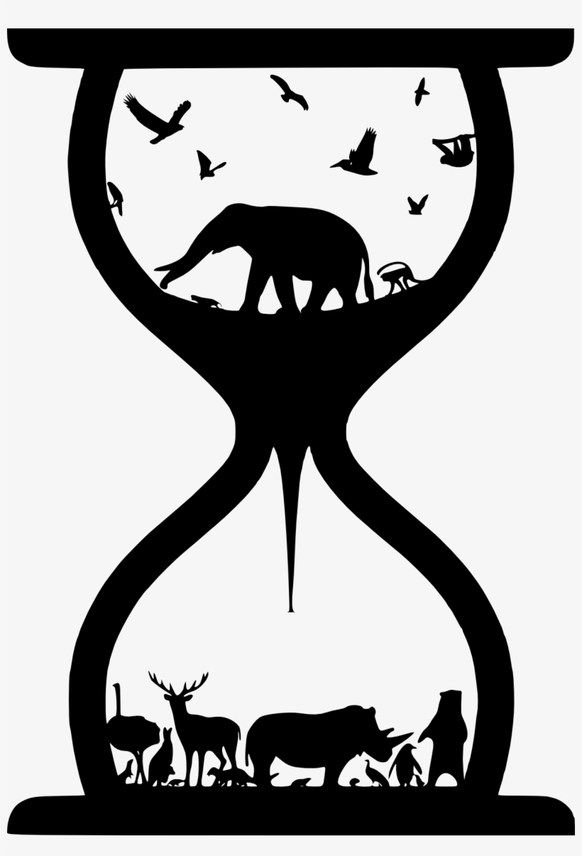 Ecology And Mode Of Life Explain Lifespan Variation - Silhouette, transparent png