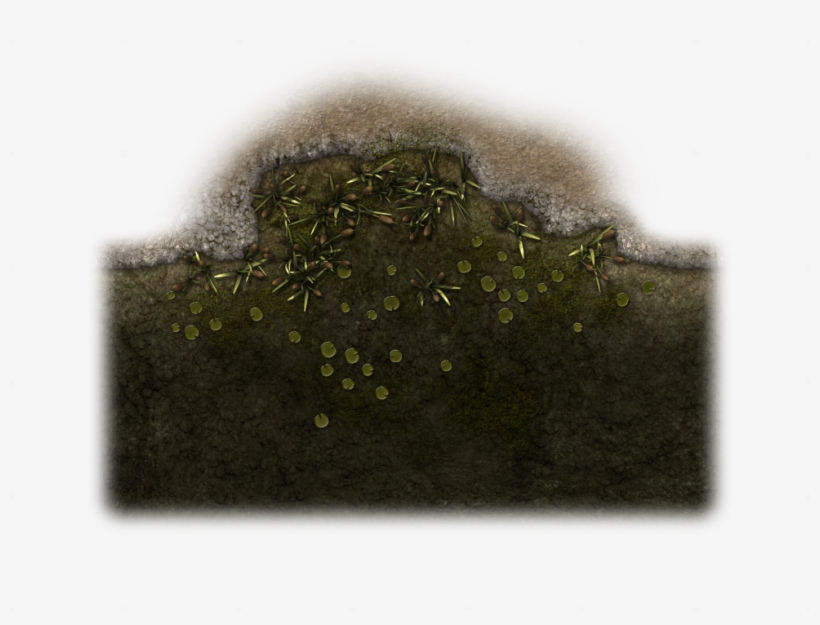 114358-vtwm Swamp 13 - Moss, transparent png