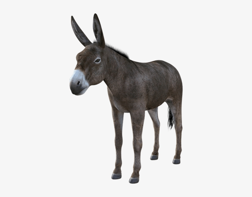 You Might Be A Democrat Barry Bebart - Burro, transparent png