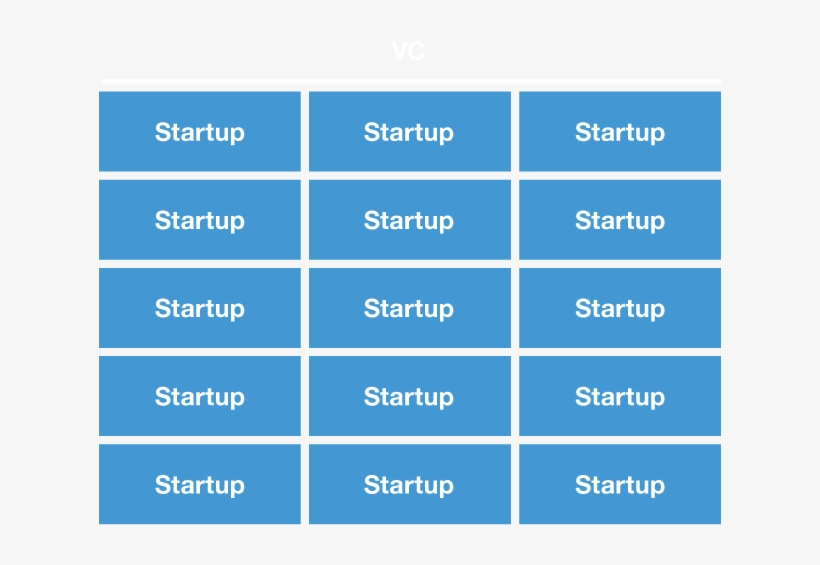 Vc-portfolio - Carmine, transparent png
