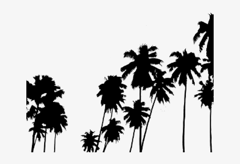 Palm Tree Clipart Palmera - Iphone 7 Palm Tree, transparent png