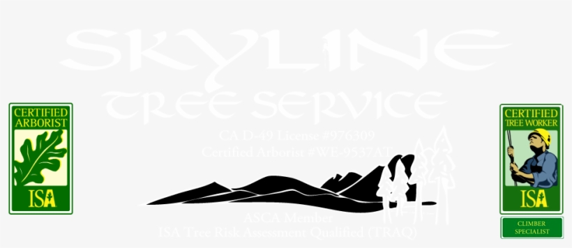 Skyline Tree Service Mammoth Lakes - Isa Certified Arborist, transparent png