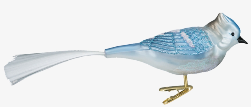 Click - Blue Jay, transparent png