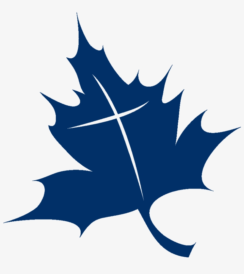 Ticc Leaf Logo - Maple Leaf, transparent png