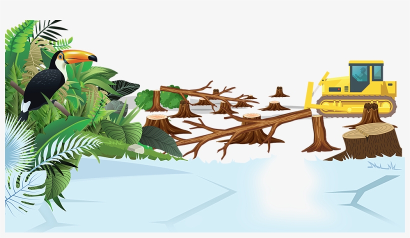 Forest3 - Illustration, transparent png