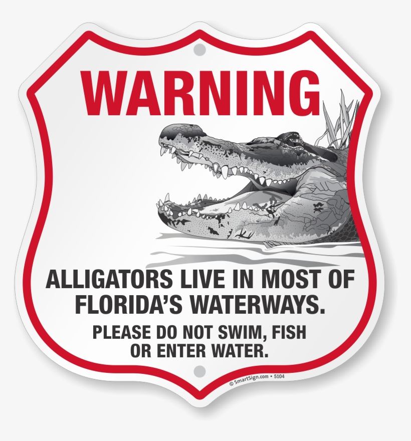 Zoom, Price, Buy - American Alligator, transparent png