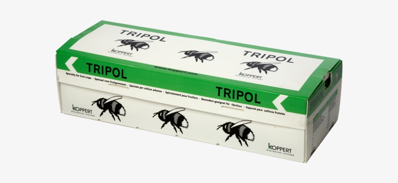 Castilla-la Mancha Begins Pollination With Bumblebees - Trzmiele Do Zapylania, transparent png