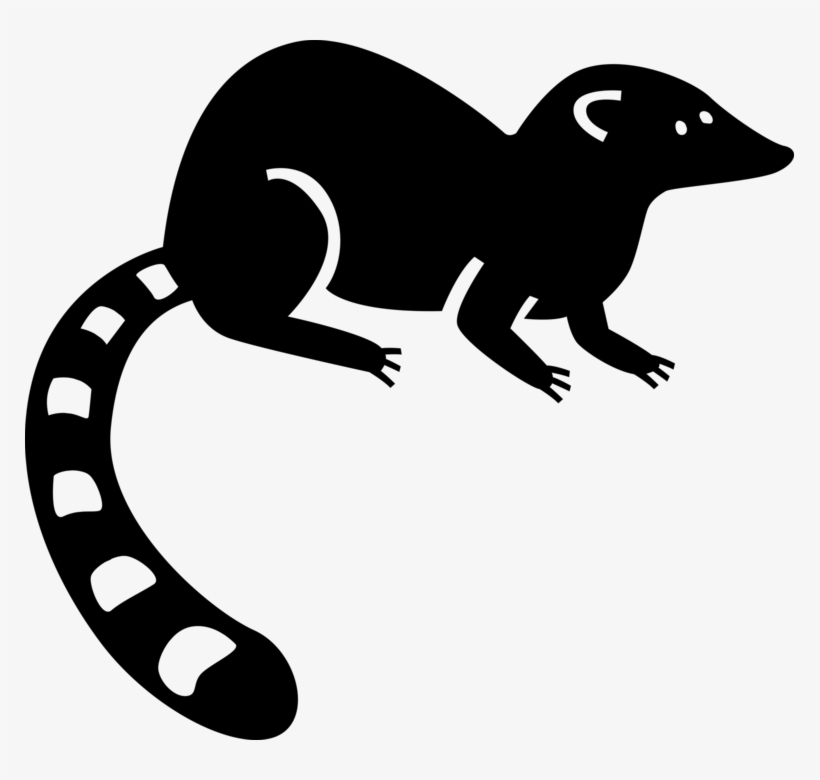 Vector Illustration Of Bushy-tailed Lemur From Island - Marsupial, transparent png