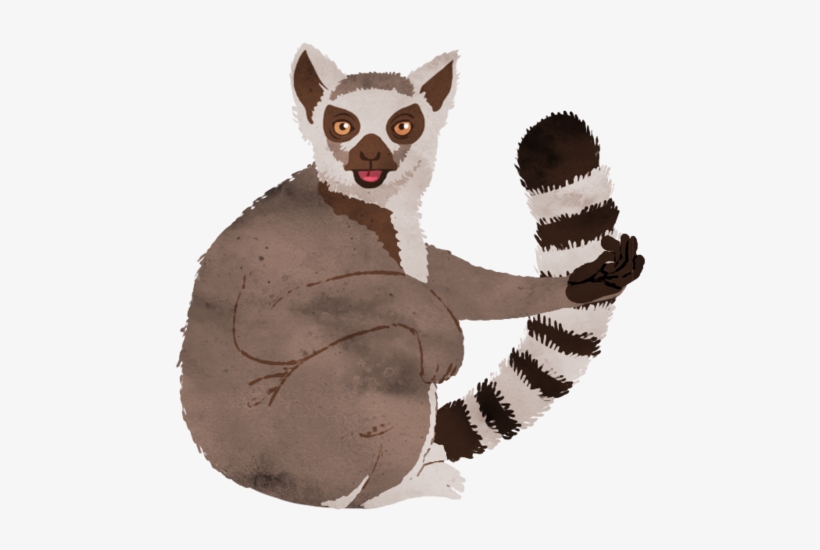 Animal 2 - Lemur, transparent png