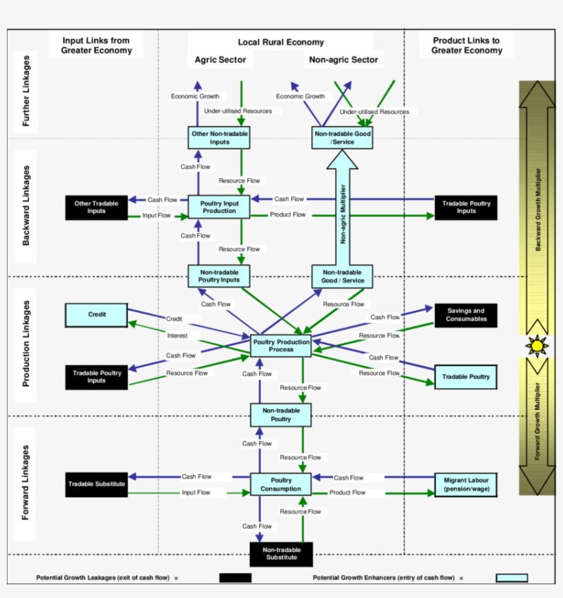 Growth Linkage Flow Chart For Rural Poultry Producers - Diagram, transparent png