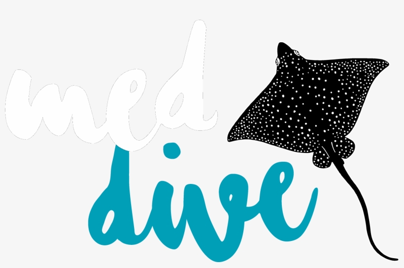 Envíanos Un E-mail, transparent png