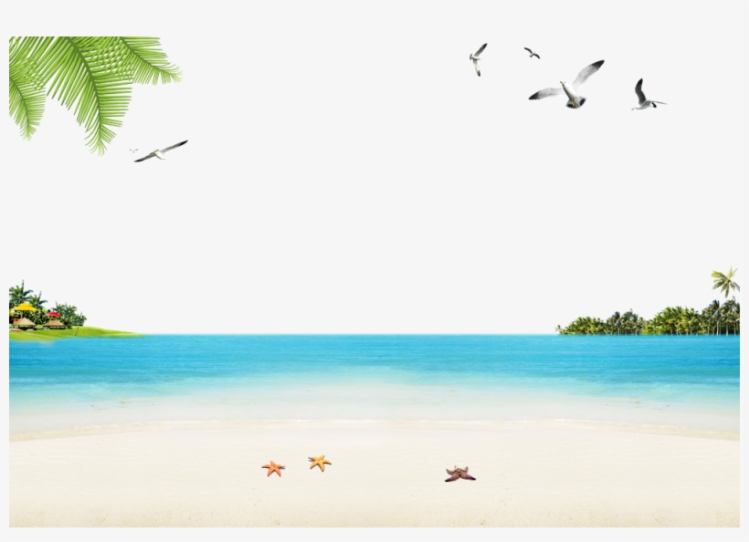 Seaside Beach Sandy Ocean Download Hq Png Clipart - Beach, transparent png
