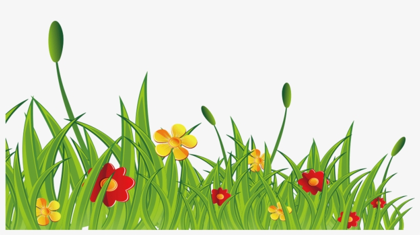 Grama Flores Silvestres Png - Desenho De Arbustos Png, transparent png